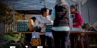 Este sábado comenzará la Feria Franca Zona Norte