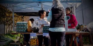Invitación para los sábados: Feria Franca en la Plaza Jardín Botánico