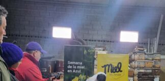 Se desarrolla la Semana de la Miel