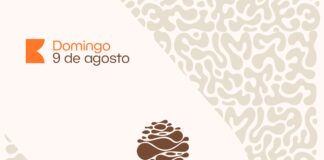 Este domingo se realizará el Segundo Festival de la Trufa en Chillar